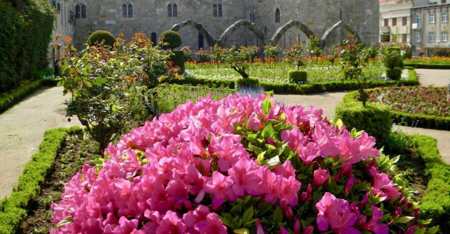 From Porto: Wonders of Braga & Guimaraes Private Day Trip - Braga Cathedral and the sanctuaries: what you are really going for