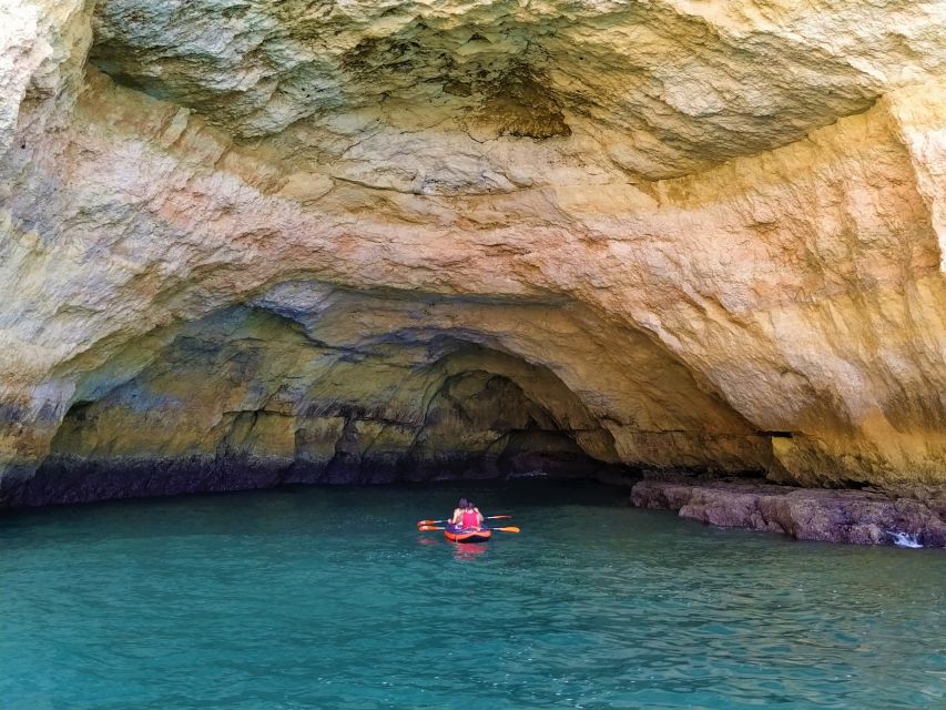 From Vilamoura: 2.5-Hour Benagil Cave and Dolphins Boat Tour - Should You Book This Benagil Caves and Dolphins Tour?