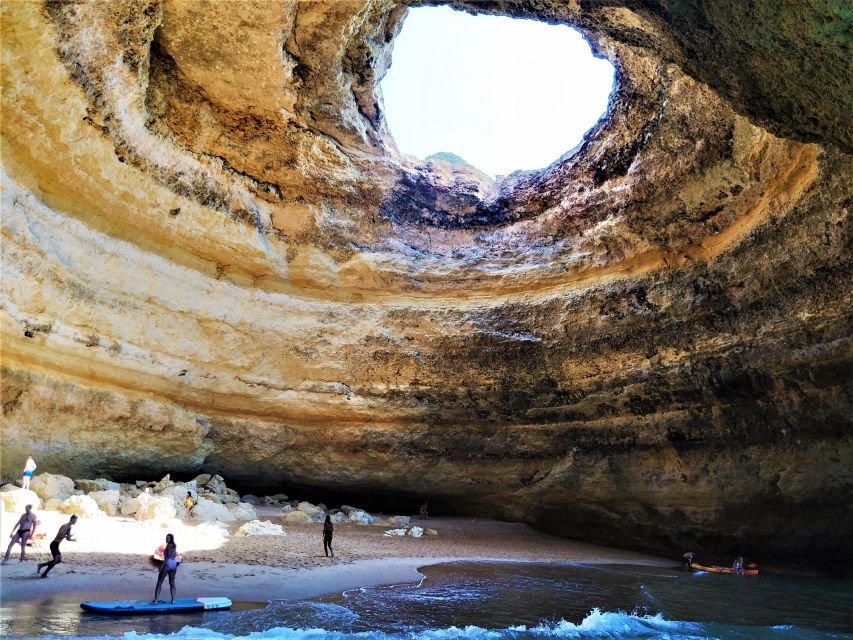 From Vilamoura: 2.5-Hour Benagil Cave and Dolphins Boat Tour - Speedboat Cruise Along the Algarve Coast