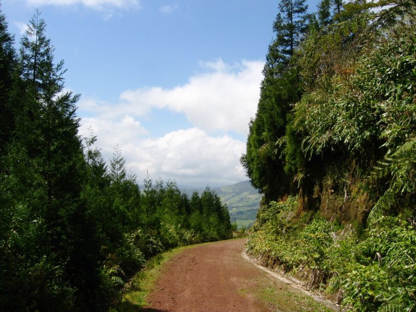 Full-Day 4x4 Nordeste Azores Tour from Ponta Delgada - Pico Bartolomeu: the climb that explains the island’s scale
