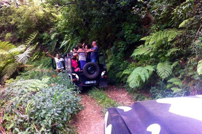 Full Day Jeep Safari East - Pico do Areeiro - Santana - Ponta de são Lourenço - The Jeep Ride Reality Check: Open Roof, Tight Roads, Small Group