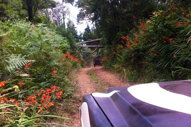 Full-Day Jeep Safari West: Fanal, Porto Moniz, Seixal, Cabo Girão - Pickup, Open-Air Jeep Riding, and the Small-Group Advantage