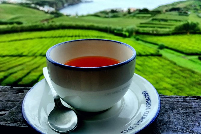 Full Day Jeep Tour Furnas with lunch (Cozido) and drinks included - What This Tour Covers on the Ground