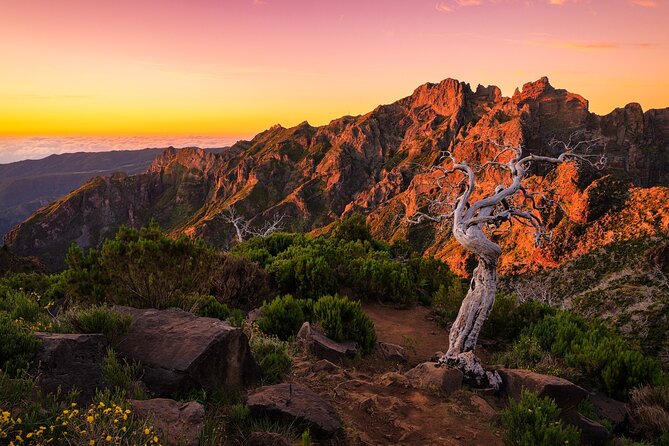 Full Day Madeira Island Tour - Open Roof - Price and Value: What $74.98 Buys in a Long 4x4 Day