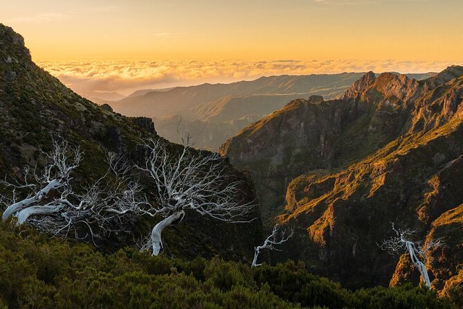 Full Day Madeira Island Tour - Open Roof - Cabo Girão Skywalk: The 580-Meter View That Forces You to Slow Down