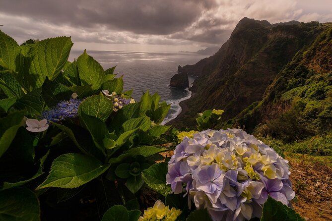 Full Day Madeira Island Tour - Open Roof - Ponta de Sol Comes Later, But the Volcanic Pools Mood Starts Now