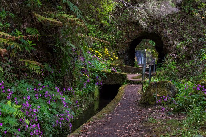Full Day of Wonders: Madeira 4x4 Private Tour - Black-sand beach time, fresh air, and when to bring a swimsuit