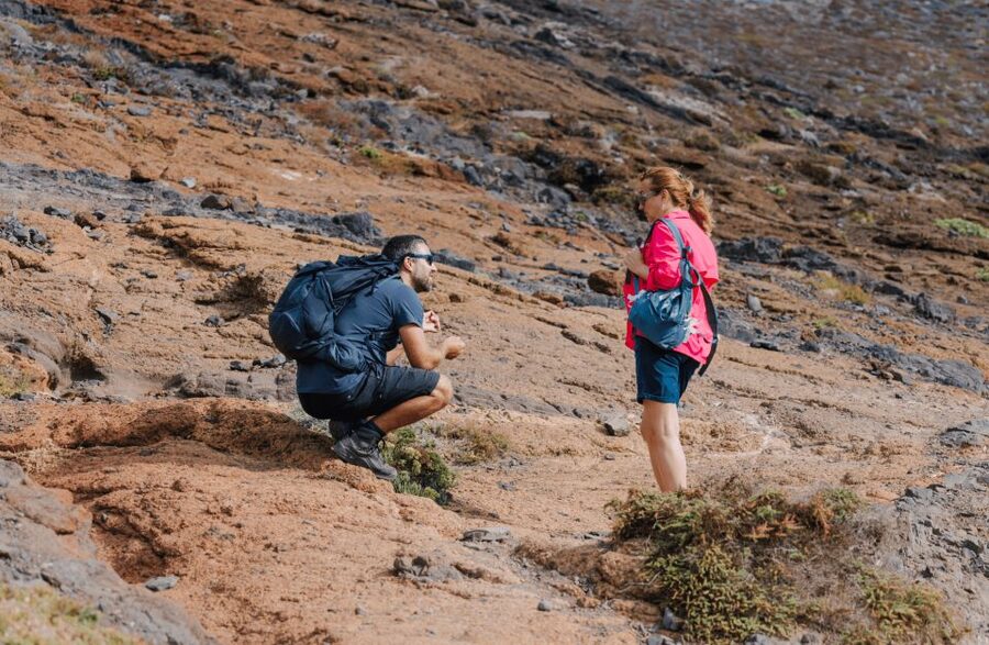 Full Day Ponta de São Lourenço - Natural Reserve - Deserted Islands and Porto Santo views, when the weather cooperates