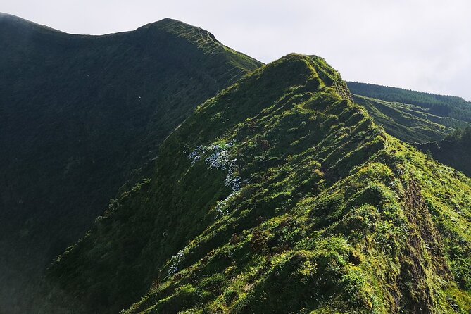 Full-Day Private Tour of Faial - Varadouro natural swimming pools: old summer retreat vibes