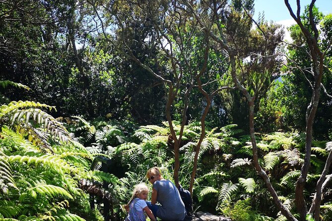 Full-Day Private Tour of Faial - Capelinhos volcano: living evidence of Azorean eruptions