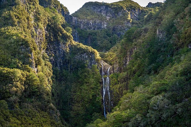 Full-Day Rabaçal Levada Walk from Funchal - Why the Rabaçal Levada Walk Feels Like a Madeira Must-Do