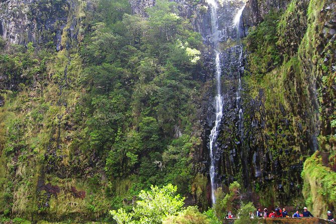 Full-Day Rabaçal Levada Walk from Funchal - Getting There from Funchal: Pickup, Start Time, and Real-World Timing