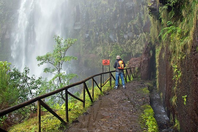 Full-Day Rabaçal Levada Walk from Funchal - Stop One: Risco Waterfall and the First Big Scenic Reward