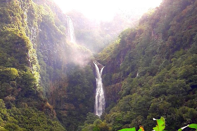 Full-Day Rabaçal Levada Walk from Funchal - Paul da Serra Down to Rabaçal: Where the Day Starts to Feel Remote