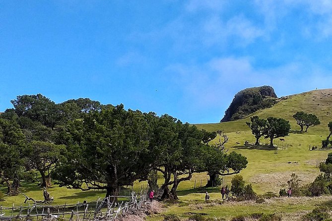 Full-Day Small Group Jeep Safari Tour from Funchal - Northeast Full Day: Traditional Houses and a Rum Factory Stop