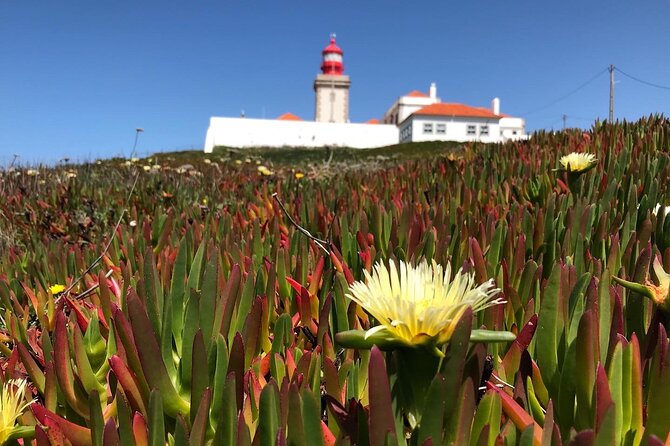 Full Day Tour: Sintra, Pena Palace, Cabo da Roca, Cascais - Cascais one hour by the sea: from fishing village to royal resort