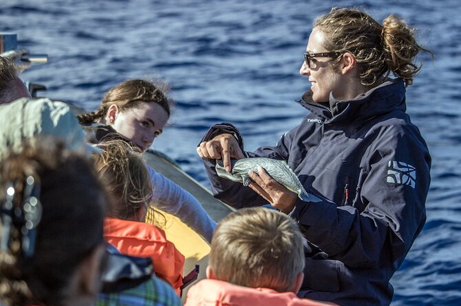 Full-Day Whales & The Princess Ring Islet (incl. Lunch) - Quick Packing List That Saves Your Day