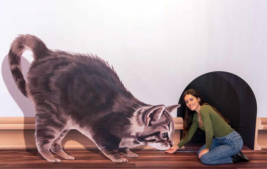 Funchal: 3D Fun Art Museum - Practical Tips for a Smooth Visit in Funchal