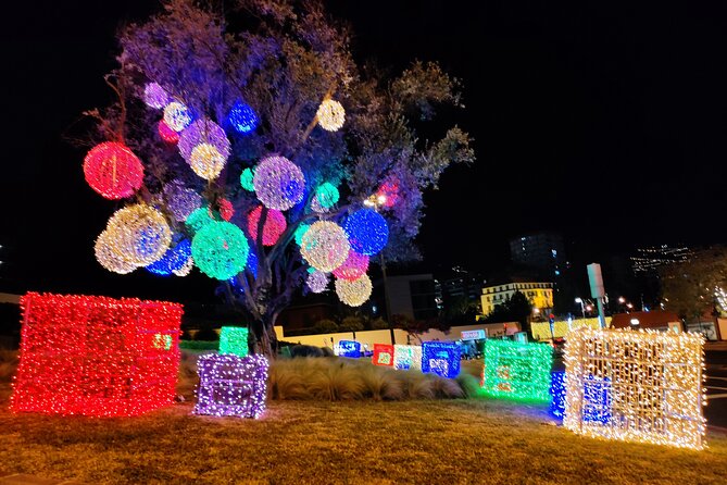 Funchal: Christmas Lights Sightseeing Night Tour - Christmas Lights Highlights Along the Main Avenue and Old Town
