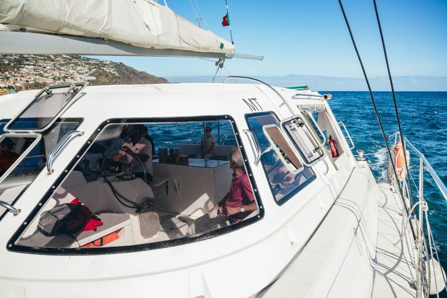 Funchal: Dolphin and Whale Watching by Luxury Catamaran - Cruising Funchal Bay: Your First Wildlife Scanning Window