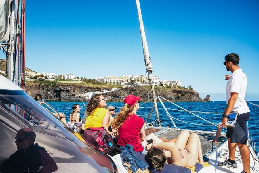 Funchal: Dolphin and Whale Watching by Luxury Catamaran - How the Crew Turns Spotting Into Understanding