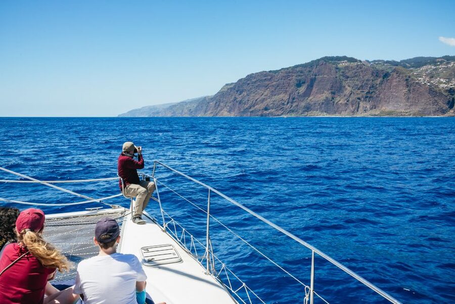 Funchal: Dolphin and Whale Watching by Luxury Catamaran - Time on the Water: 3 Hours That Feel Relaxed