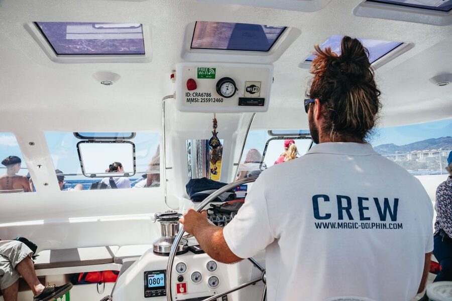 Funchal: Dolphin and Whale Watching by Luxury Catamaran - Price and Value: Why About $47 Makes Sense Here
