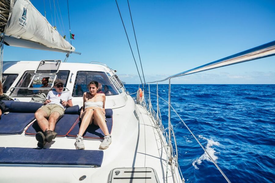 Funchal: Dolphin and Whale Watching by Luxury Catamaran - What to Bring, What Not to Bring, and How to Stay Comfortable
