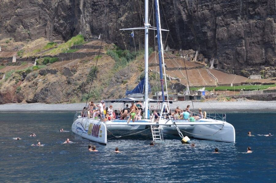 Funchal: Dolphin and Whale Watching Catamaran Cruise - Should You Book This Funchal Dolphin and Whale Cruise?