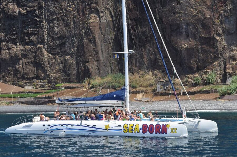 Funchal: Dolphin and Whale Watching Catamaran Cruise - Family-Friendly, But With Clear Rules