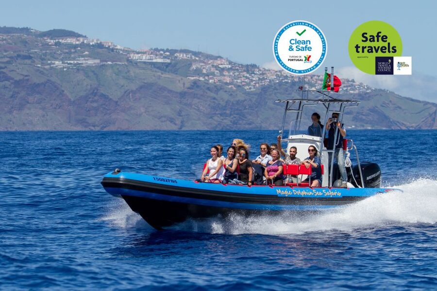 Funchal: Dolphin and Whale Watching Cruise - Key points to know before you go