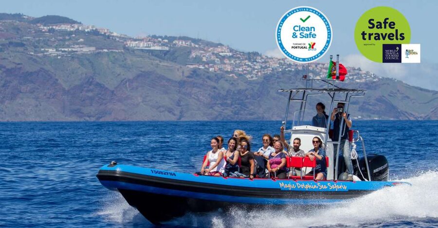 Funchal: Dolphin and Whale Watching Cruise - Getting ready: Magic Dolphin check-in and a tight departure window