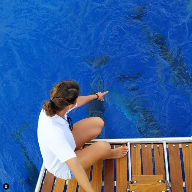 Funchal: Dolphin and Whale Watching Sailing Trip - Key Highlights You Can Actually Plan Around