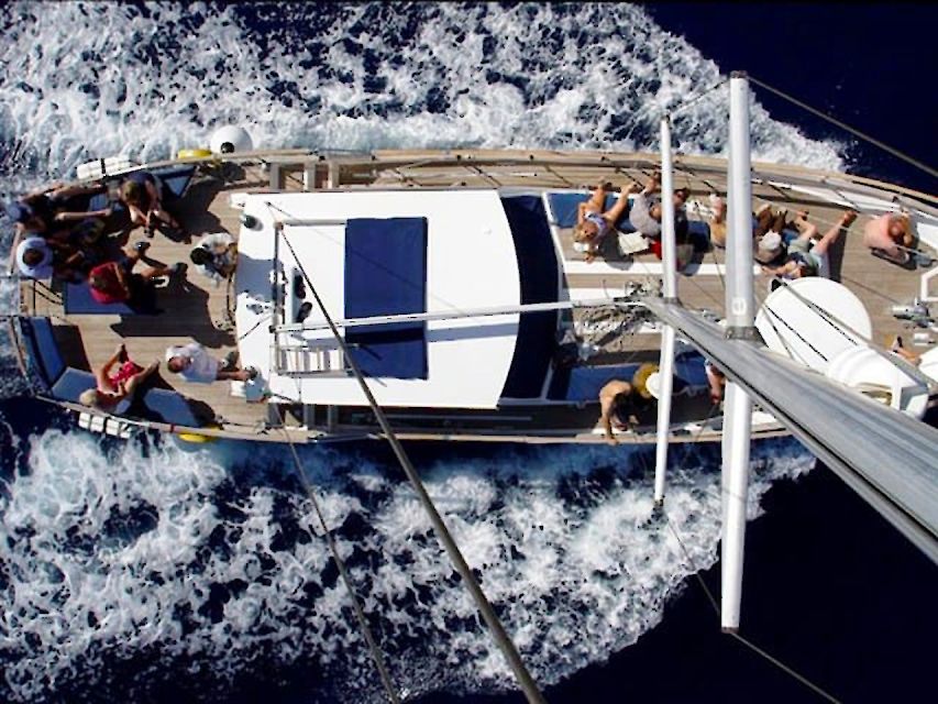 Funchal: Dolphin and Whale Watching Sailing Trip - Should You Book This Dolphin and Whale Watching Sailing Trip?