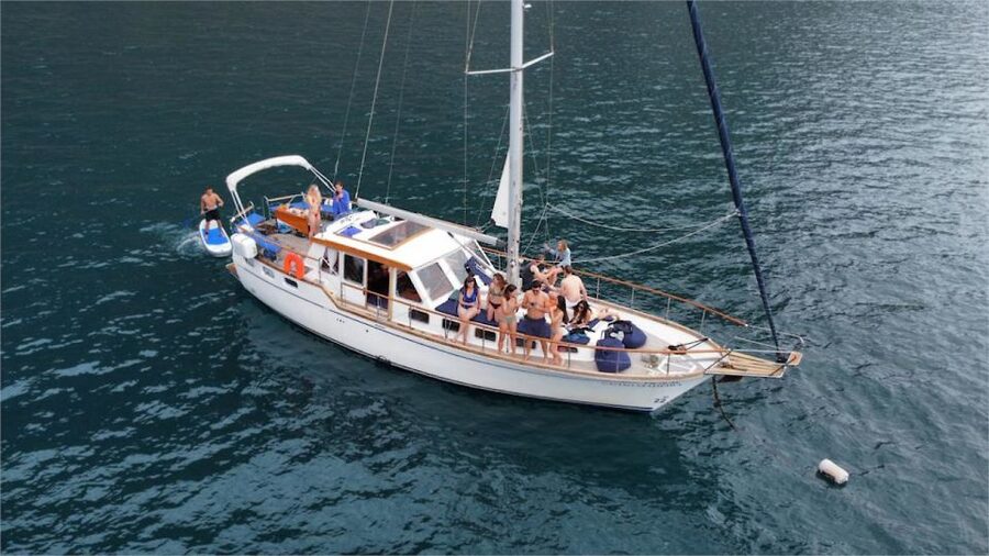 Funchal: Dolphin and Whale Watching Sailing Trip - Leaving Funchal Marina: The 3-Hour Rhythm You’ll Feel