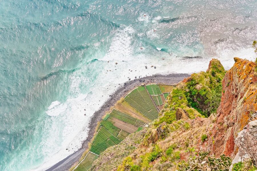 Funchal: Dolphin and Whale Watching Sailing Trip - Wildlife Spotting Near Cabo Girão, With Real Guidance