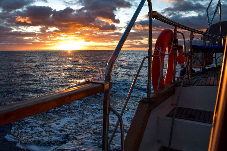 Funchal: Dolphin and Whale Watching Sunset Sailing Tour - Dolphins and whales: what you should realistically expect