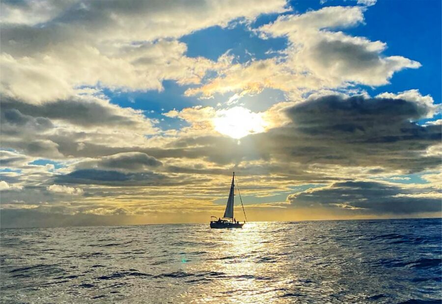 Funchal: Dolphin and Whale Watching Sunset Sailing Tour - Included perks that make the price feel fair