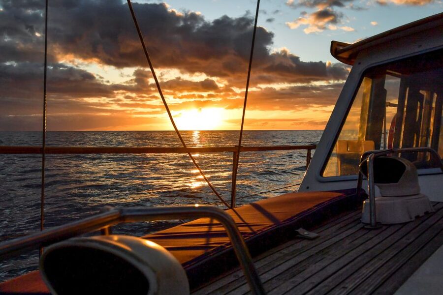 Funchal: Dolphin and Whale Watching Sunset Sailing Tour - The sailing vibe in a small group of up to 20