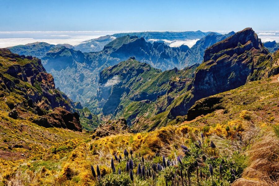 Funchal: East Madeira Island Guided Tour & Laurissilva Walk - Getting oriented in Funchal and staying calm on the road