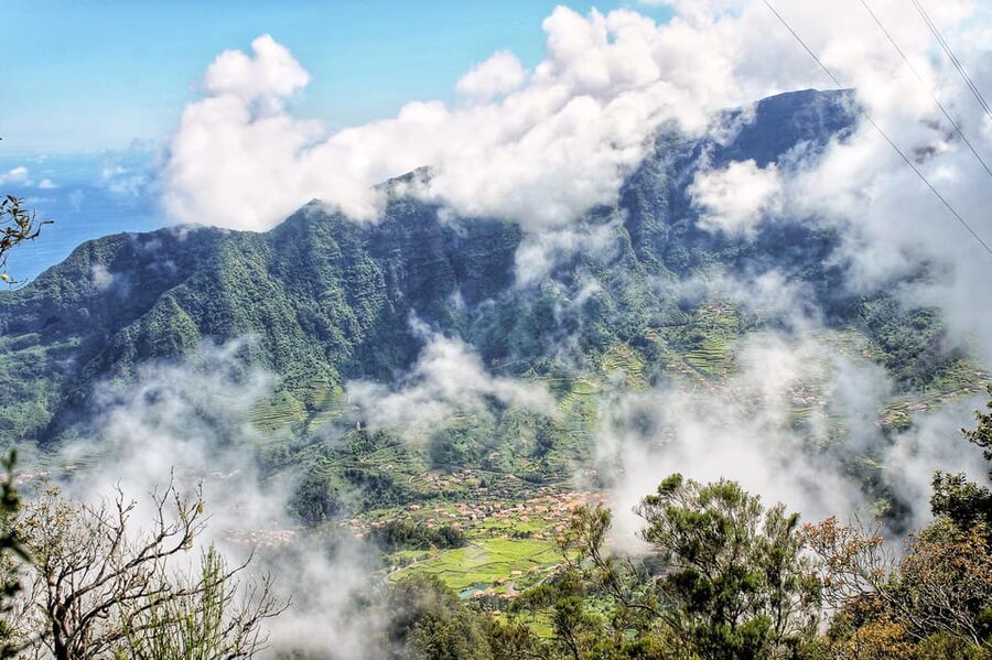 Funchal: Enchanted Terraces, Porto do Moniz & Fanal 4WD Tour - Food Stops, Drinks, and the $74 Value Math