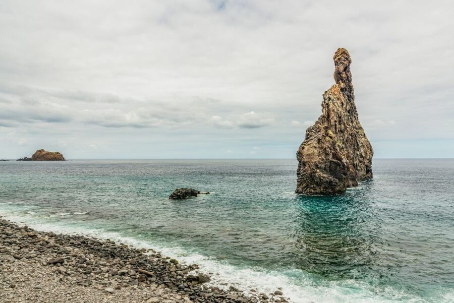 Funchal: Enchanted Terraces, Porto do Moniz & Fanal 4WD Tour - Fanal Forest and the Laurisilva Walk: Classic Madeira Magic