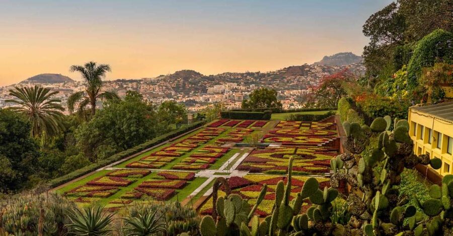 Funchal: Guided Old Town Tuk Tuk Tour and Botanical Gardens - Why a tuk tuk makes sense in Funchal’s Old Town