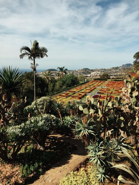 Funchal: Guided Old Town Tuk Tuk Tour and Botanical Gardens - Old Town drive and the cathedral stop you can’t miss