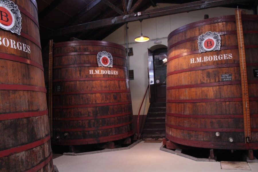 Funchal: H.M. Borges Winery Guided Tour with Wine Tasting - Should you book the H.M.Borges Madeira tour in Funchal?