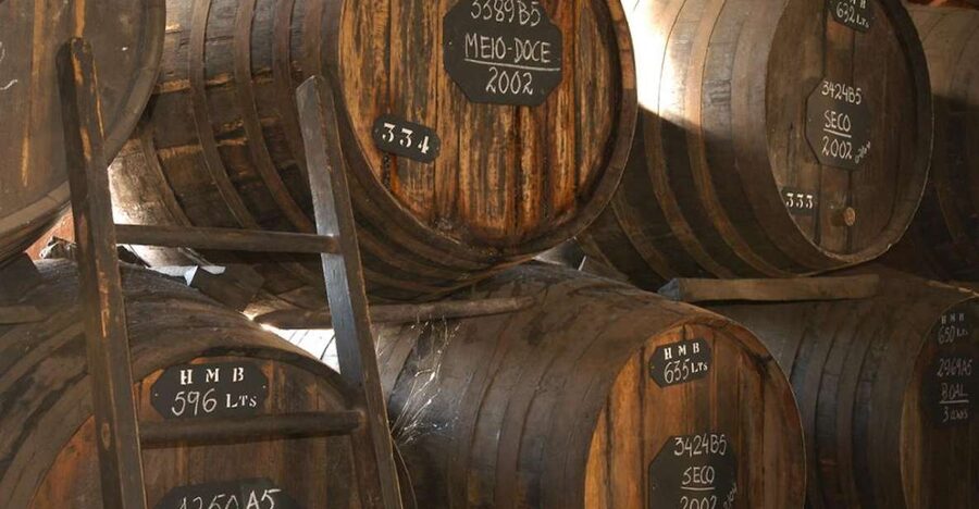 Funchal: H.M. Borges Winery Guided Tour with Wine Tasting - Oak casks and time: why the ages show up in your glass