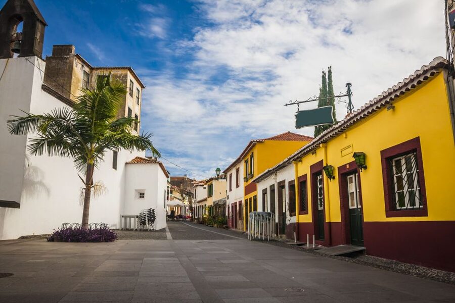 Funchal: Hop-On Hop-Off Bus Tour - Wine and craft on board: Blandy’s tasting, Madeira Wine Museum, Bordal embroidery