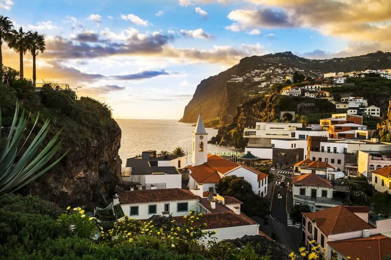 Funchal:Hop-on Hop-off Bus & Whale & Dolphin boat Excursion - Should You Book This Funchal and Câmara de Lobos Bus Plus Catamaran?