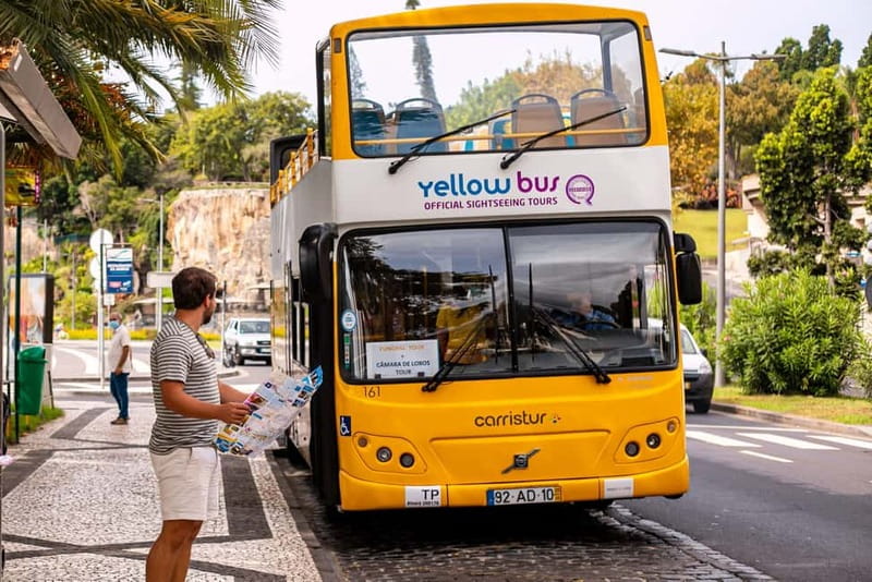 Funchal:Hop-on Hop-off Bus & Whale & Dolphin boat Excursion - A Two-Day Mix of Funchal Stops and Time on the Water
