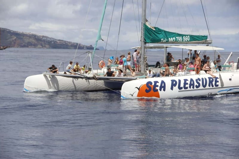 Funchal:Hop-on Hop-off Bus & Whale & Dolphin boat Excursion - Your 30 Stops, What They’re For (and What to Skip)
